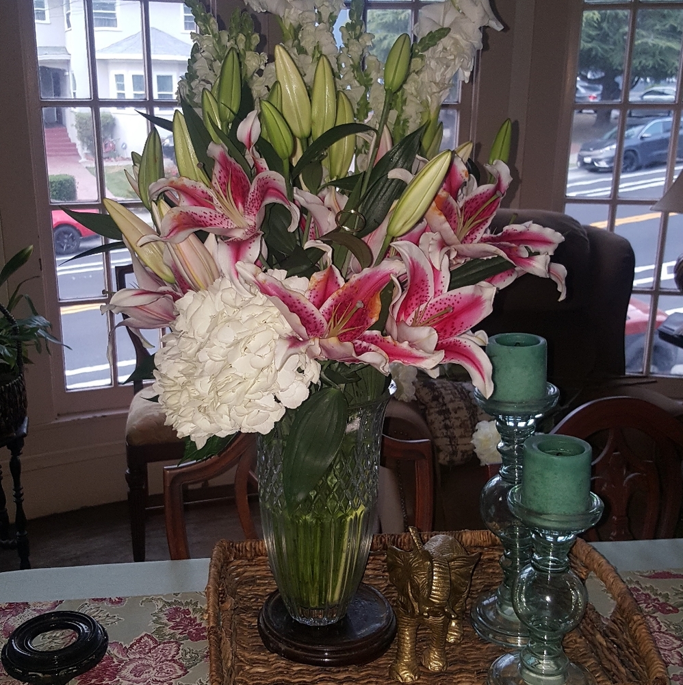 Meet your Posher, Allison